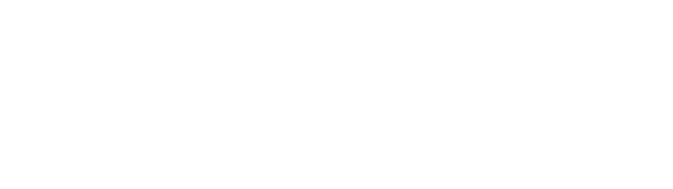 Speeco SRL